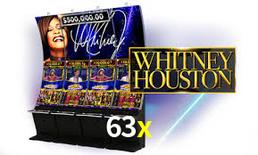 Programa VIP 63x